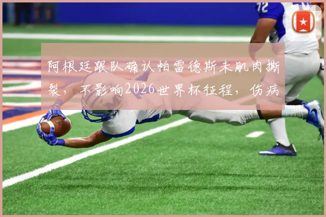 阿根廷跟队确认帕雷德斯未肌肉撕裂，不影响2026世界杯征程，伤病传闻澄清与球员状态分析